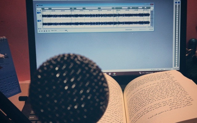گویندگی کتاب، پادکست، دکلمه، شعر و... انجام بدم و در درستخوانی هم مهارت دارم.