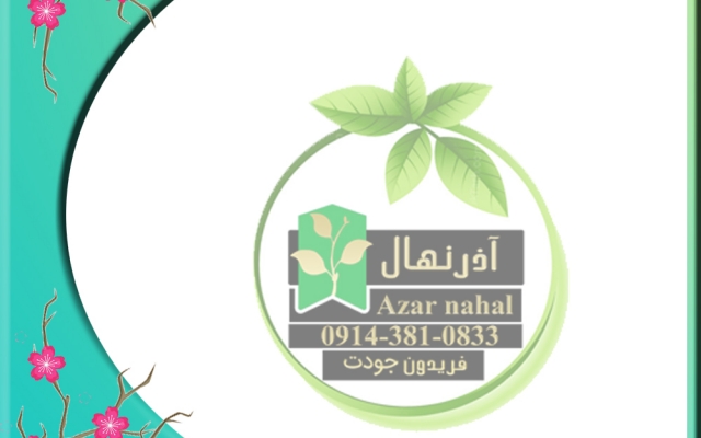 کاور اینستاگرامی و تلگرامی و تمامی پلتفرم ها برای مشاغل و اشخاص طراحی کنم