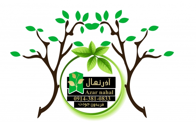 انواع لوگوهای سازمانی شرکتی تجاری و خصوصی با متدهای گرافیکی طراحی میکنم
