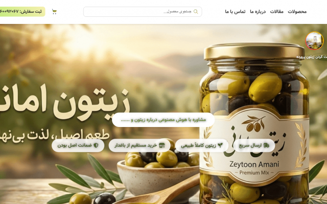 طراحی و توسعه انواع وبسایت و اپلیکیشن تحت وب، فرانتاند و بکاند، رفع باگ