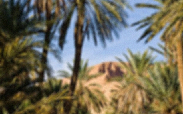 برای پیج اینستاگرام شما پستهای جذاب طراحی کنم.