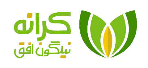 طراحی،پشتیبانی و مدیریت سایت های وردپرسی،جهت حفظ و اصلاح مورد نیازکارفرمایان