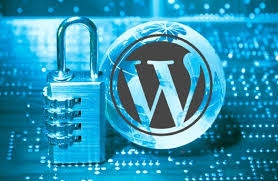تمام ارورهای سایت را برطرف و امنیت سایت را در برابر هکرها و ویروس ها تامین کنم