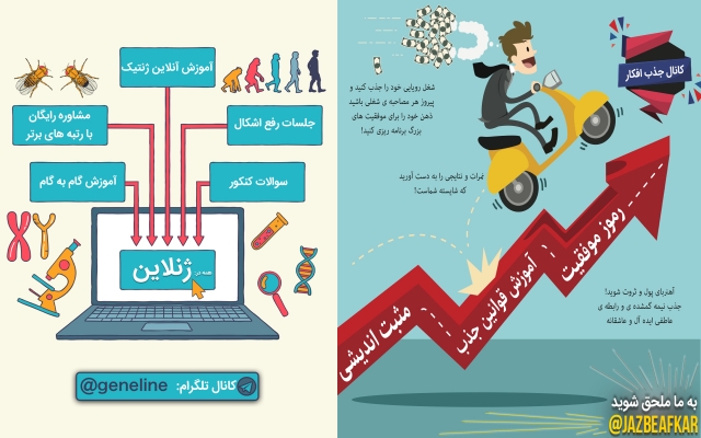 بنر و پوستر تبلیغاتی با طراحی دلخواهتون با کیفیت بالا درست کنم.