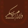 delaramparipay-39