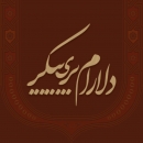 delaramparipay-39