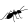 abolfazlmarj