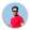 saeed.shams
