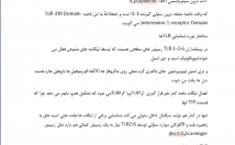 تایپ-فارسی
