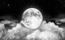 تایپ-سریع-غلط
