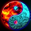 Alireza_M